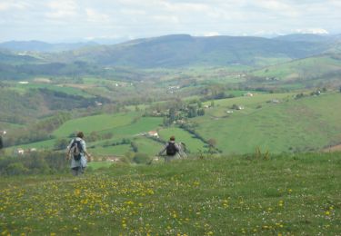 Tocht Stappen Lichos - CC_Velay_GB_29_Lichos_Ostabat-Asme_20090413 - Photo