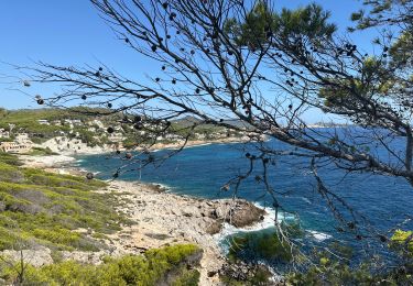 Trail Walking Capdepera - Punta de morràs - Photo