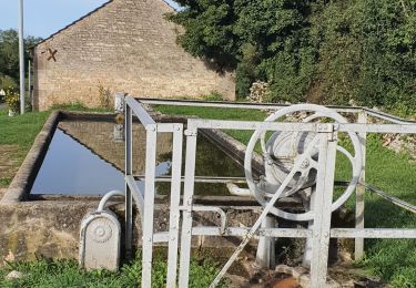 Percorso Marcia Montceau-et-Écharnant - Source de l'Ouche - Photo