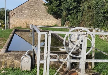 Trail Walking Montceau-et-Écharnant - Source de l'Ouche - Photo