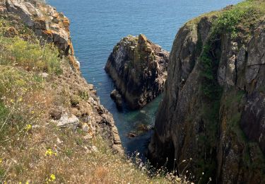 Randonnée Marche L'Île-d'Yeu - Yeu  - Photo