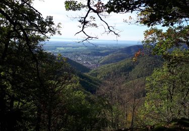 Tour Wandern Steinbach - silberthal.mockenrein.mines.silberthal - Photo