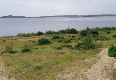 Randonnée Marche Peyriac-de-Mer - Tour de l'étang de doul et retour par cercle nautique - Photo