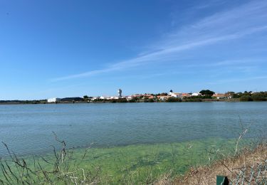 Randonnée Marche Noirmoutier-en-l'Île - Randonnée nord Noirmoutier  - Photo