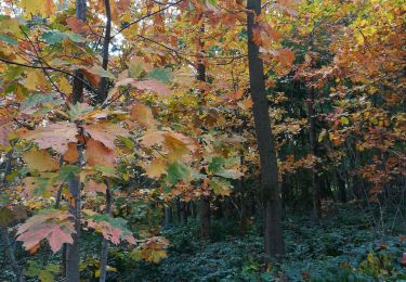 Tour Wandern Hamoir - filot - Photo