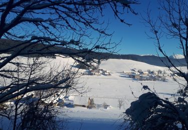 Randonnée Raquettes à neige Autrans-Méaudre en Vercors - Pas de Pertuson en circuit - Photo