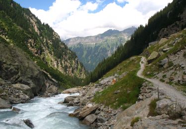 Randonnée A pied Innertkirchen - Schwendi - Underi Trift - Photo