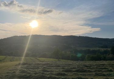 Excursión Senderismo Entrelacs - La Biolle et Albens - Photo