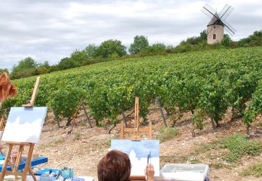 Tour Zu Fuß Santenay - Circuit des Crêtes - Photo