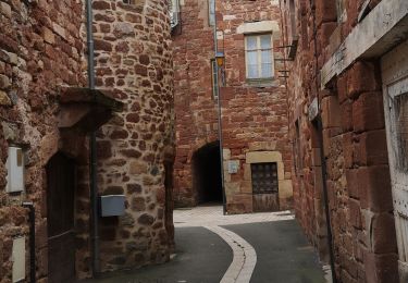 Tocht Stappen Clairvaux-d'Aveyron - Clairvaux les vignes  - Photo