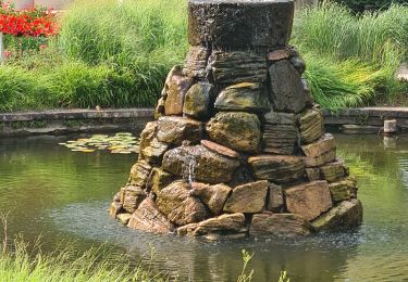 Excursión Senderismo Ottenhöfen im Schwarzwald - Karlsruher Grat  - Photo