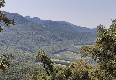 Tocht Stappen Séguret - Seguret - Ruines de Prebayon - Photo