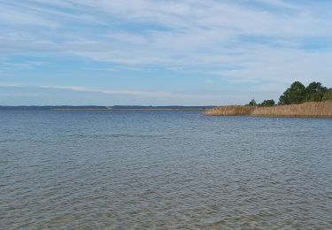 Tocht Stappen Sanguinet - Marche lac de sanguinet - Photo