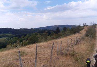 Tocht Paardrijden Bénonces - col de portes - Photo