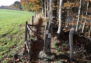 Percorso Marcia Blegny - Promenade du Bacsay - Photo