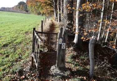 Tour Wandern Blegny - Promenade du Bacsay - Photo