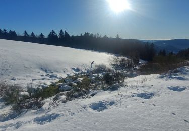 Tocht Sneeuwschoenen Cornimont - Croix Louis - Photo