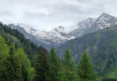 Excursión Senderismo Saint-Gervais-les-Bains - Bionnassay - Photo