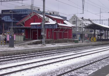 Percorso A piedi Freienbach - Pfäffikon - Lidwil - Photo