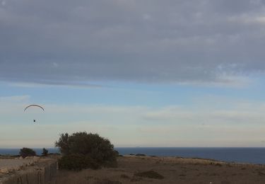 Randonnée Marche Leucate - Leucate La Franquie par la falaise  - Photo