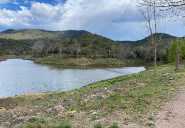 Tocht Mountainbike Les Adrets-de-l'Estérel - Esterel 9 : Fait 03/04/23 lac st Cassien et barrage du Malapasset et lac Lavellan - Photo