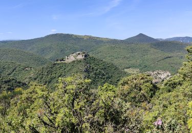 Trail Walking Termes - Termes  - Photo