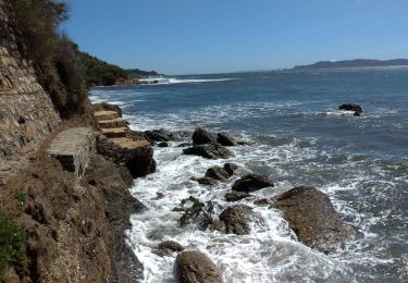 Trail Walking Hyères - Giens la badine la tour fondue - Photo
