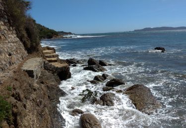 Excursión Senderismo Hyères - Giens la badine la tour fondue - Photo