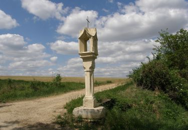 Tocht Te voet Gemeinde Gaubitsch - Panorama Wanderweg Gaubitsch - Photo