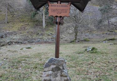 Tocht Stappen Metzeral - le lac Fichboedlé - Photo