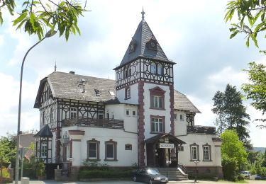 Randonnée A pied Mühltal - Rundwanderweg 4: Lindenberg - Weg - Photo