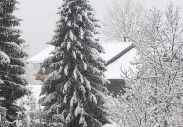 Tour Zu Fuß Gemeinde Westendorf - Wanderweg 4 - Brixen - Photo