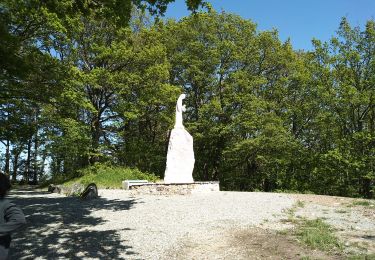 Tour Wandern Sentheim - Chemin de croix - Photo