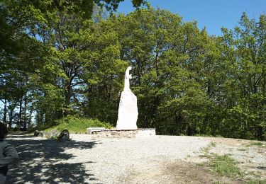 Randonnée Marche Sentheim - Chemin de croix - Photo