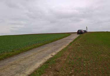 Excursión A pie Obernburg am Main - Rundwanderweg Waldhäuser WH3 : 3-Waldhäuser-Weg - Photo