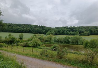 Trail Walking Thuin - Abbaye d'aulne  - Photo