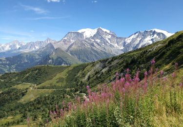 Tour Wandern Megève - Mont JOLY - Photo