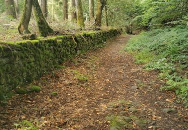 Tocht Stappen Autun - La pierre de couhart - Photo