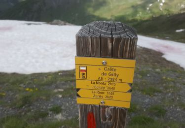 Tocht Heteluchtballon Molines-en-Queyras - refuge Agnel. Abries grosse journee - Photo