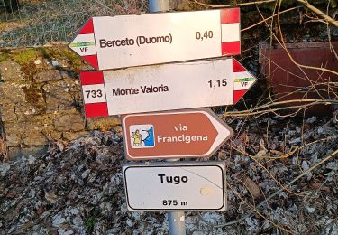 Tocht Te voet Berceto - Il Tugo - Monte Valoria - Photo