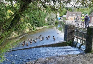 Excursión Senderismo Villenauxe-la-Grande - VILLENAUXE LA GRANDE 1 - Photo