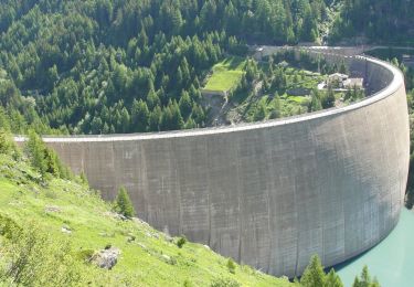 Tocht Te voet Arvier - Alta Via n. 2 della Valle d'Aosta - Tappa 5 - Photo