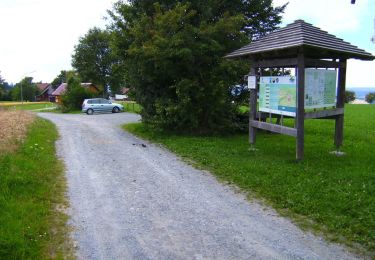 Percorso A piedi Bischofsgrüner Forst - Wülfersreuth Rundweg Nr. 2 - Photo