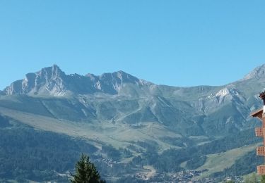 Excursión Senderismo La Léchère - Doucy Combelouvière-18-07-22 - Photo