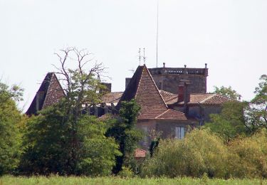 Randonnée A pied Castets et Castillon - Les Deux Rives : boucle locale - Photo