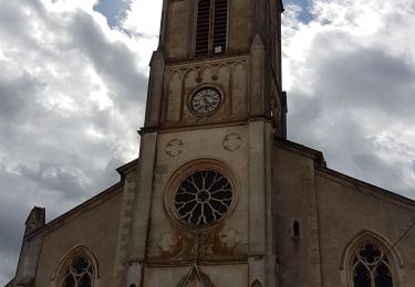 Tocht Stappen Saizerais - SAIZERAIS - LES CORNOUILLERS ET LES HOSPICES - Photo