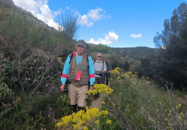 Tour Wandern Gémenos - la dent de fourcade - Photo