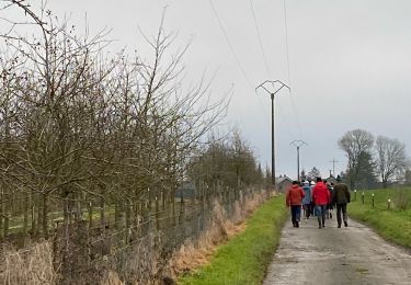 Trail Walking Ciney - Ychippe - Photo