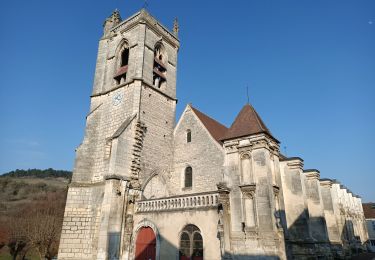 Tocht Stappen Irancy - Boucle des coteaux d 'Irancy - Photo