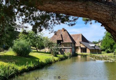 Percorso Bici da strada Blainville-sur-Orne - Blainville-Manoir de Grandouet (Cambremer) - Photo